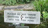 funny_sign_17